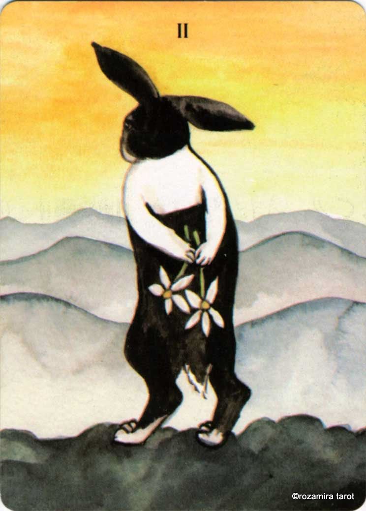 Rabbit Tarot